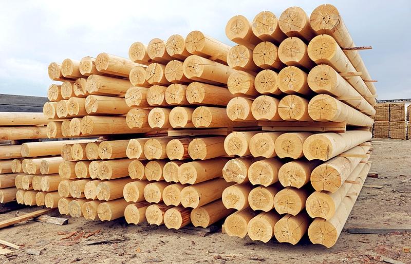 Микольська: Мораторій на експорт деревини є подразником у відносинах України та ЄС