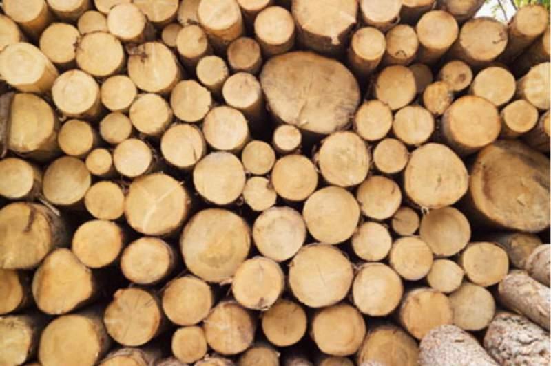 Юнкер: Україна скасує заборону на експорт деревини
