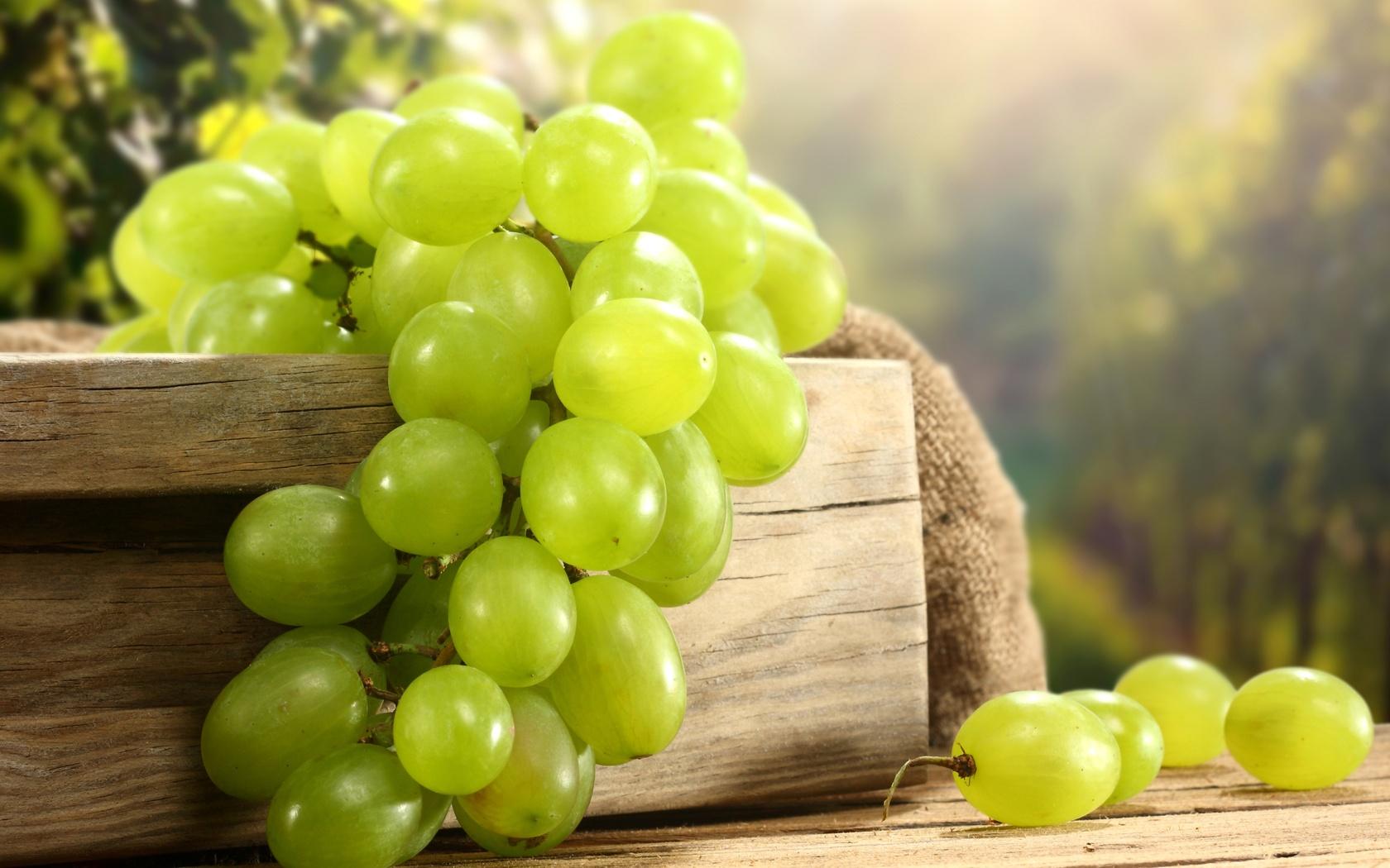 Хареба: Мінагрополітики підтримує розвиток вітчизняного виноробства
