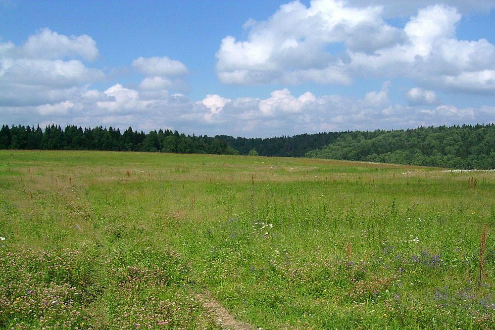 На Львівщині незаконно використовували 77 га земель