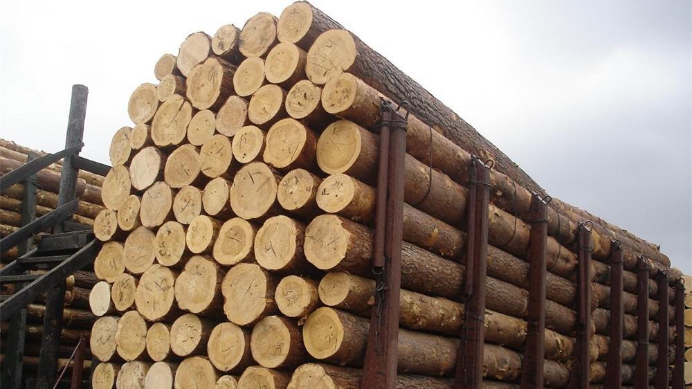 Експорт буковинського лісу скоротився до Європи