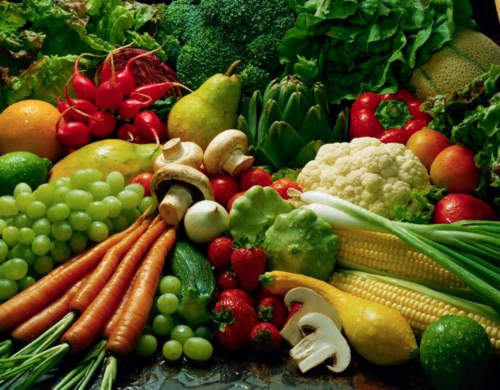 На Сумщині визначили механізм підтримки органічних виробників до 2020 р.