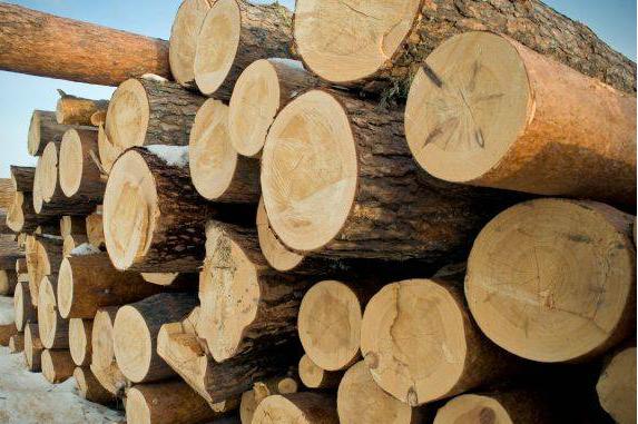 Викрито махінації з деревиною на суму 44 млн грн