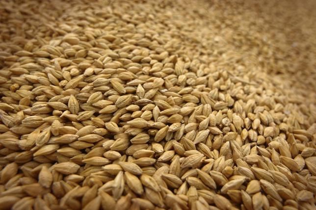 ПАТ«Аграрний фонд» виграло справу у суді за недоставлене зерно з відшкодуванням 5,7 млн грн