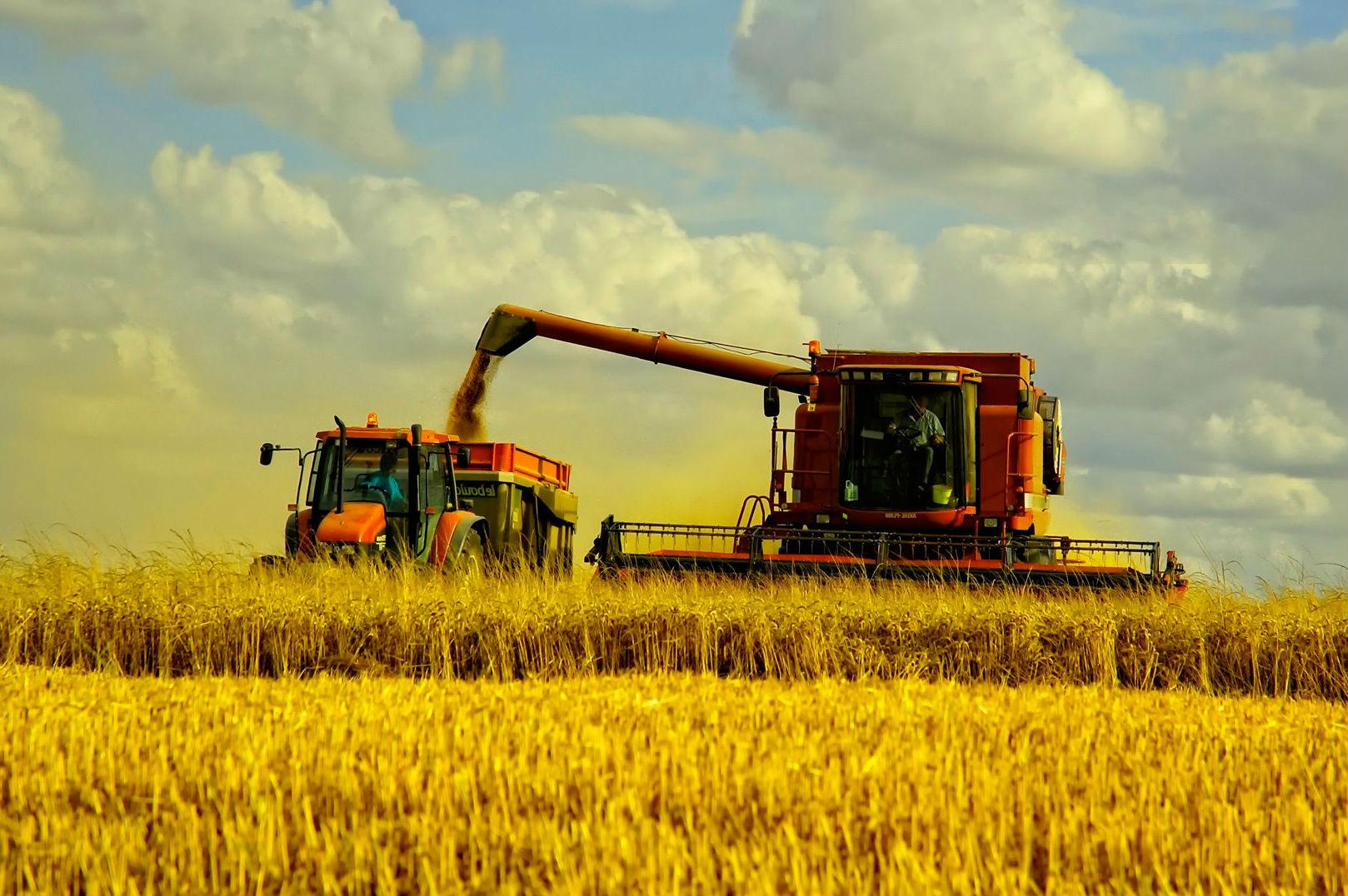 Україна підтвердила статус аграрної країни