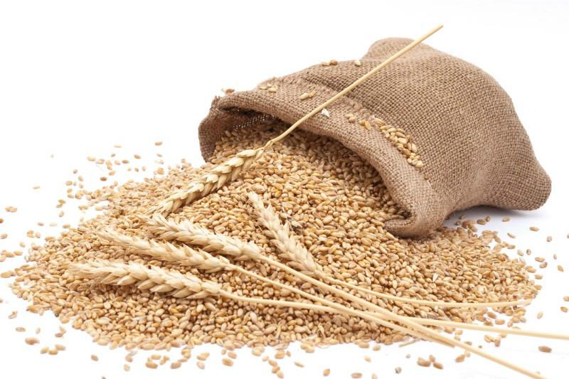 ДПЗКУ експортувала майже 1,5 млн т зерна за останні 8 місяців