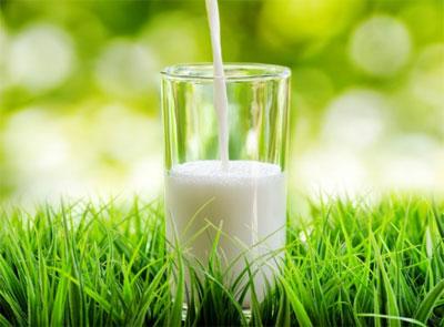 Дослідження: названо топ-трійку експортерів українського сухого молока