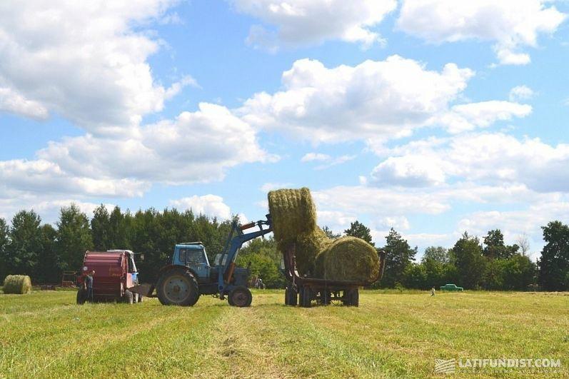 В Києві хочуть масштабувати міське фермерство