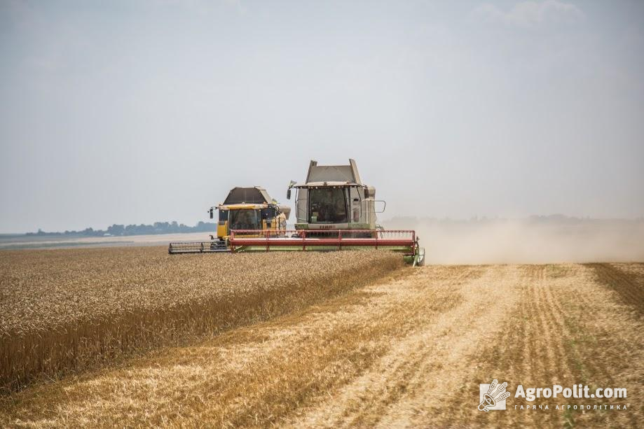 Україна займає 12% світового ринку зерна