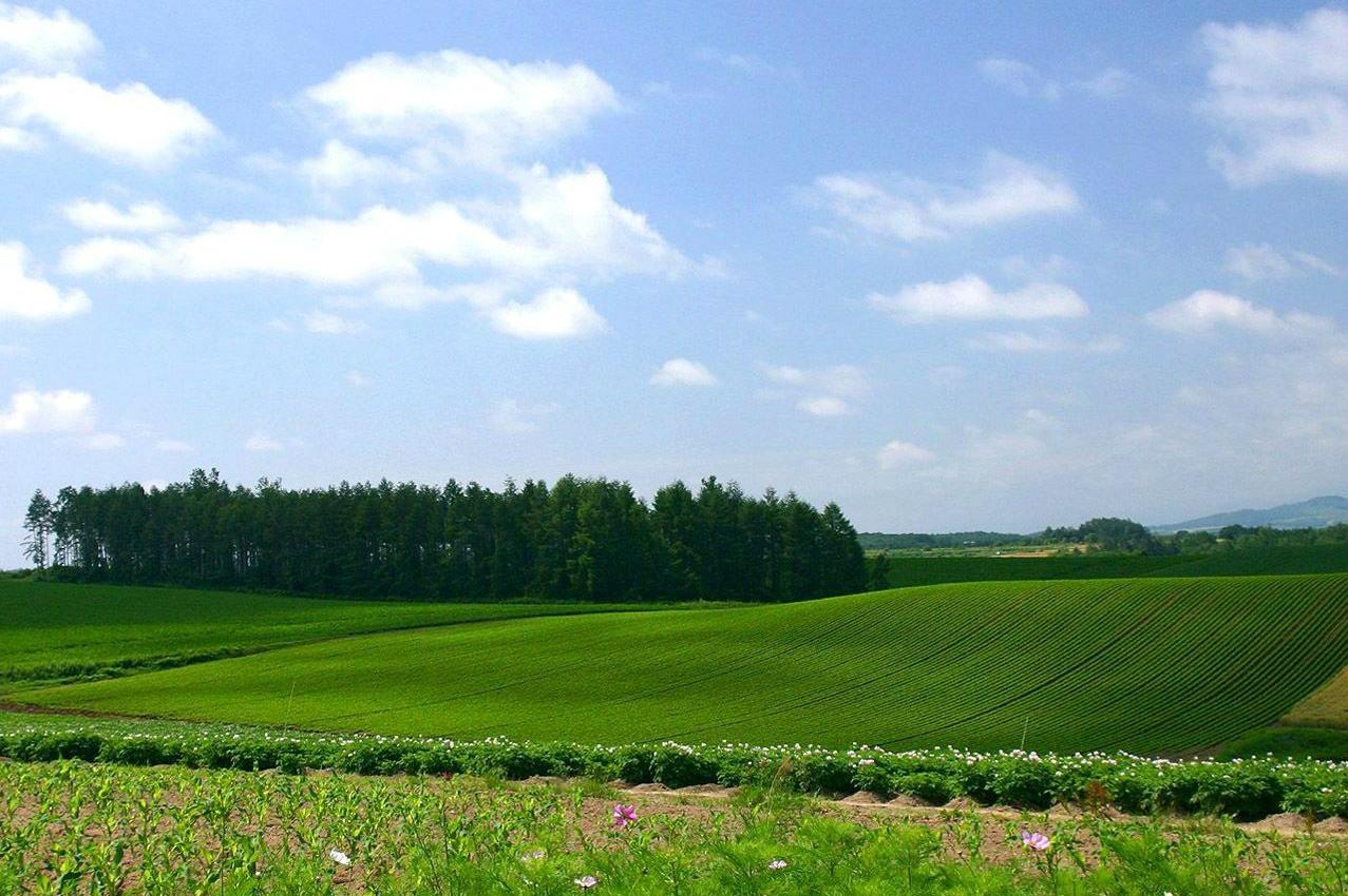На Житомирщині фермерські господарства обробляють по 117 га землі