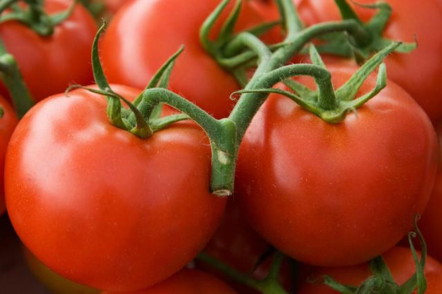 Турція «завалює» Україну зараженими томатами