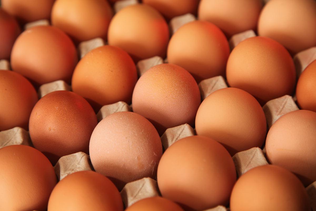 Ціна на яйця в Україні зменшилась
