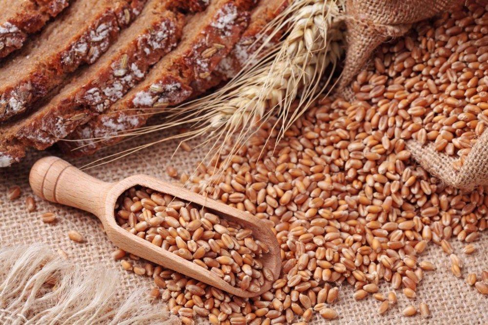 В УЗА назвали 2 основні проблеми зернового ринку України