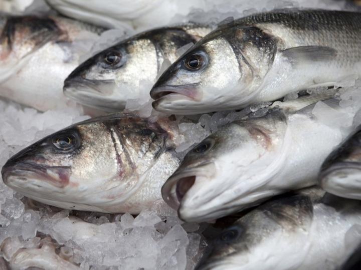 Україна отримає європейську систему сертифікації риби
