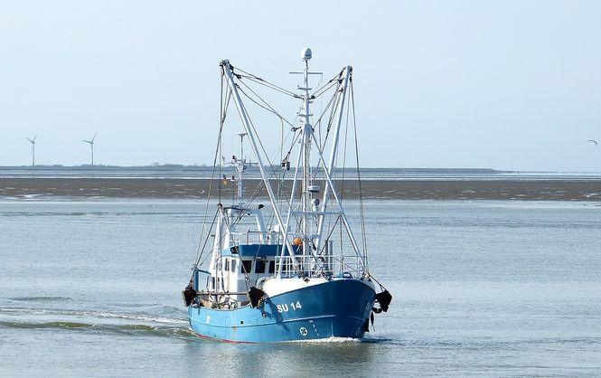 Державний океанічний риболовецький флот приніс до державного бюджету 26,6 млн грн