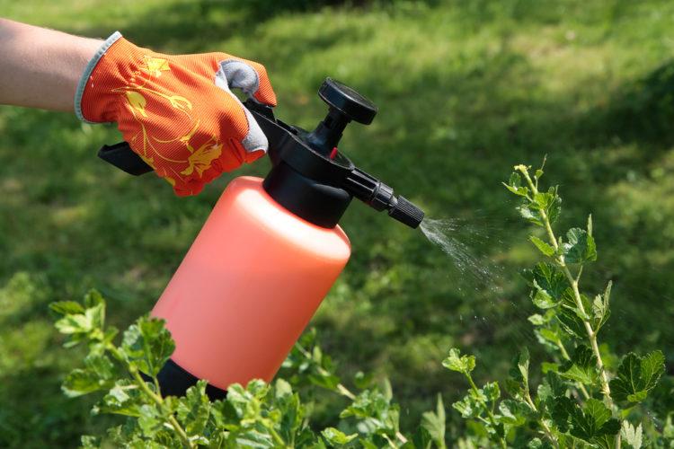 Заборона на ввезення незареєстрованих пестицидів не дає українським аграріям використовувати передові технології