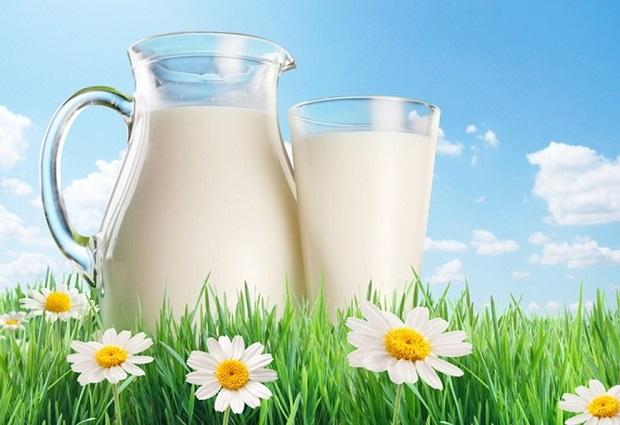 В Україні відкрито перший кооператив виробників молока екстра-ґатунку 