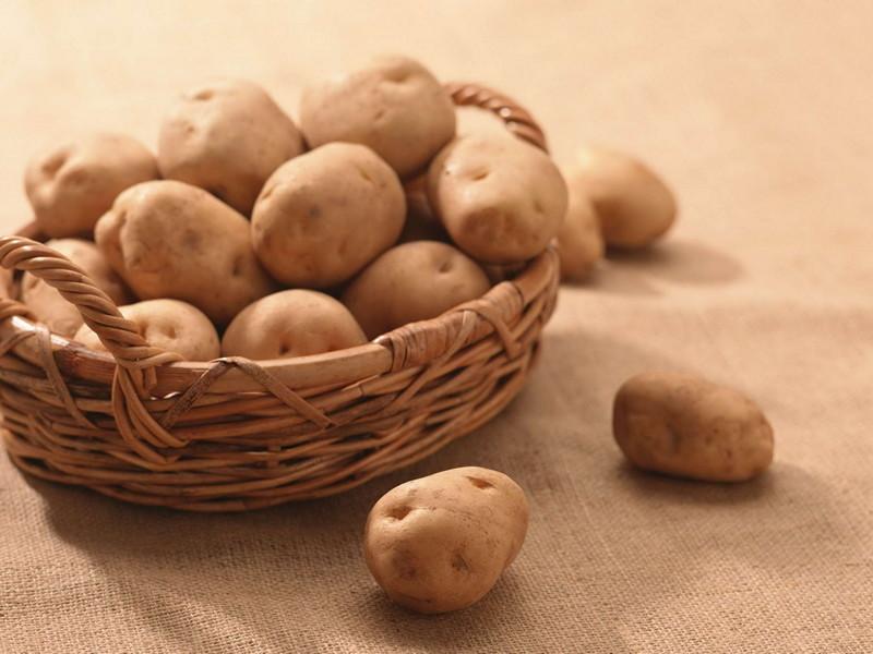 Озвучено перші прогнози урожаю картоплі