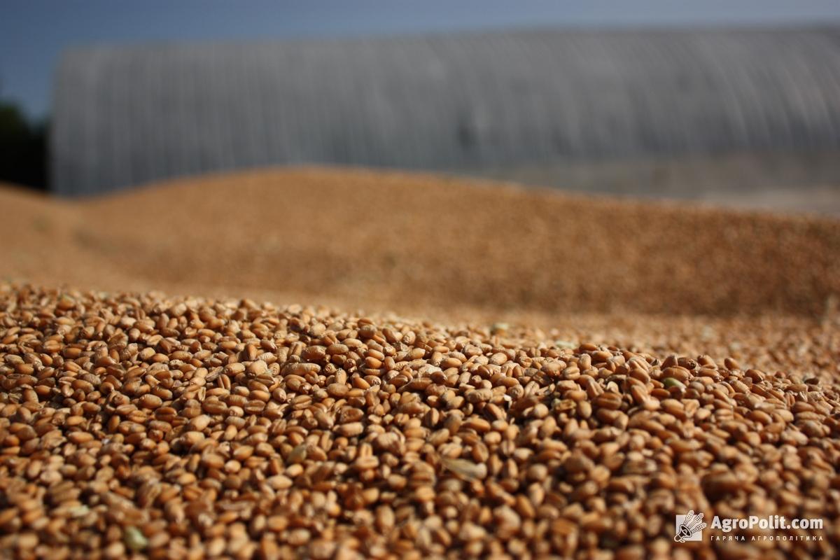 Світове виробництво зернових може сягнути історичного максимуму — прогноз