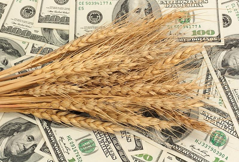 Індекс цін FAO на зернові у серпні знизився на 5,4%
