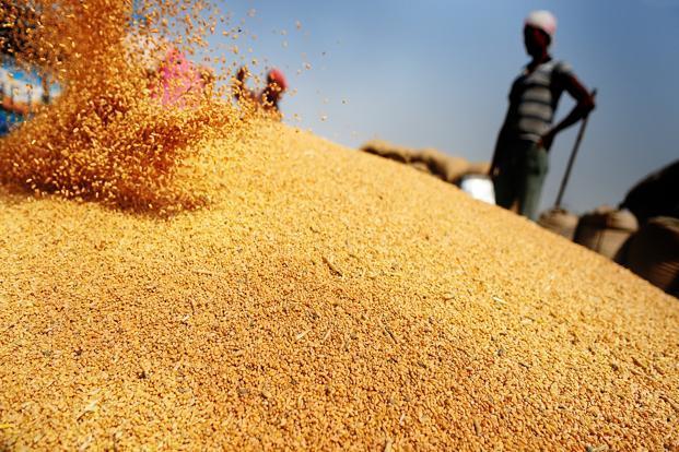 На користь Росії: Україна може втратити єгипетський ринок пшениці 