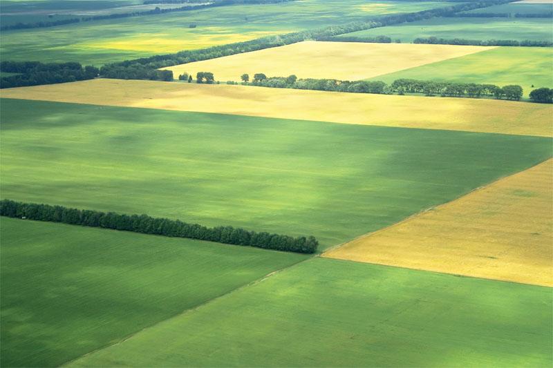 Розпочалася практична реалізація моніторингу земельних відносин в Україні