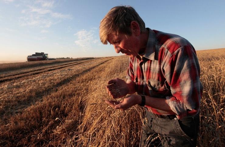В українського уряду немає бачення розвитку фермерства