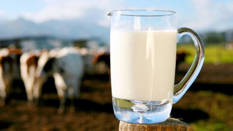 З 1 січня Україна може відмовитися від молока другого ґатунку 