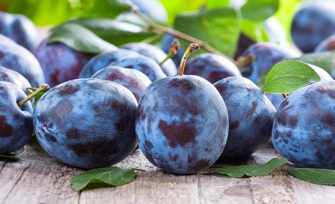 Слива очолила рейтинг найбільш експортованих фруктів з України