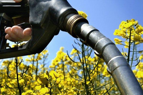 Парламент зареєстрував законопроект про виробництво рідкого біопалива в Україні