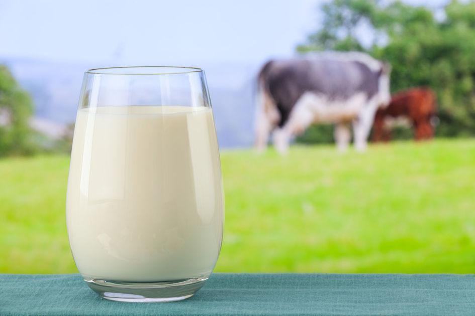 В Україні відкрито лабораторію контролю якості молока