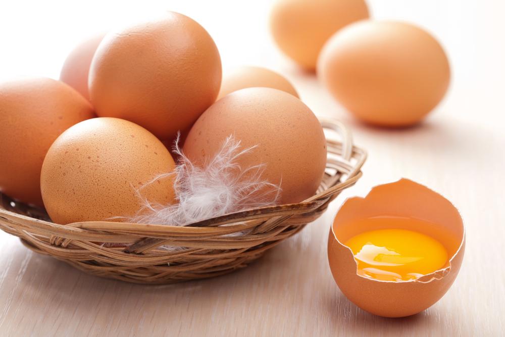 Скільки Україна заробляє на експорті яєць