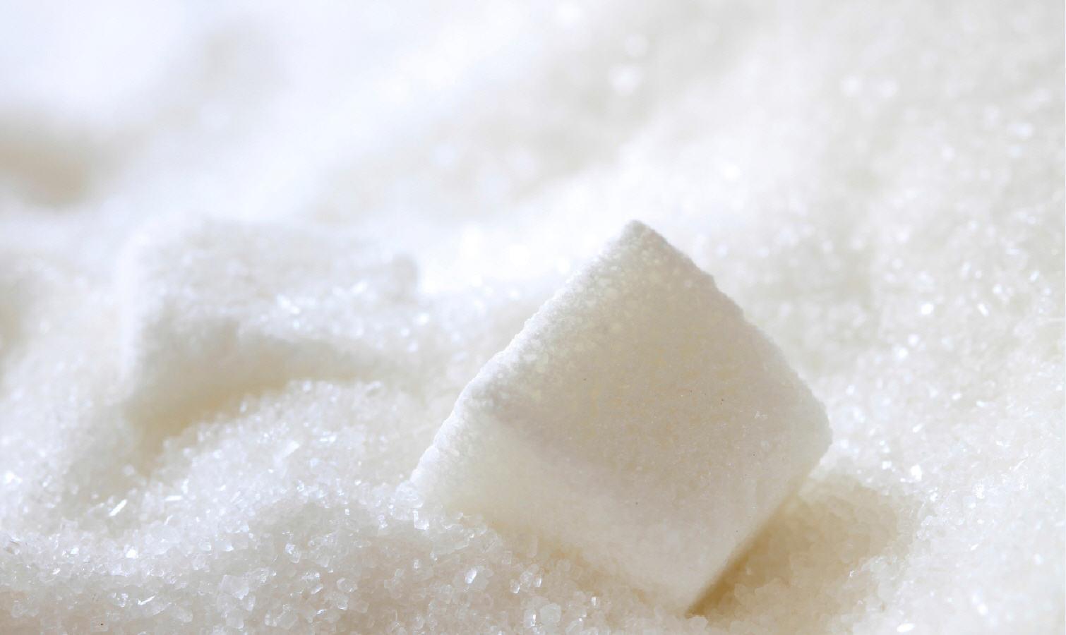 Гармонізація виробництва цукру з європейськими нормами необхідна для підтримки експорту