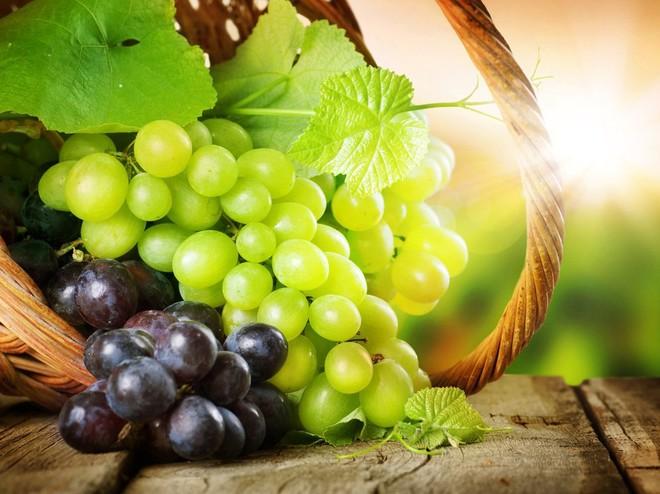 Аграрний комітет виступає за внесення змін у законодавство щодо розвитку виноградорства