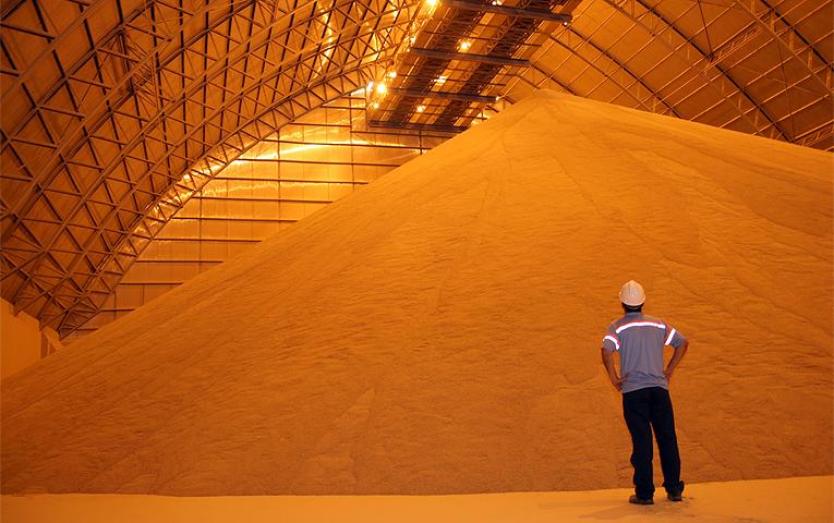 Експорт зернових становить понад 20 млн тонн 