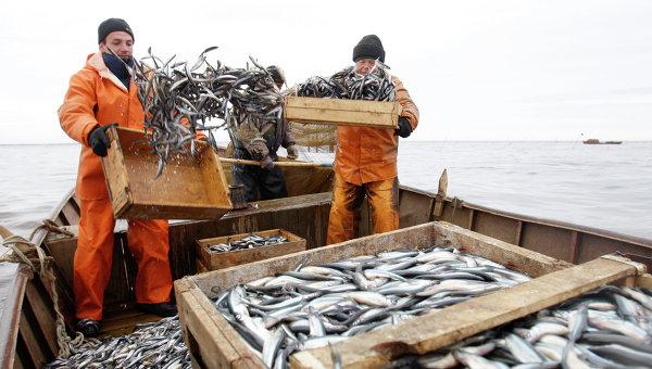 Україна співпрацюватиме з ЄС у рибній галузі