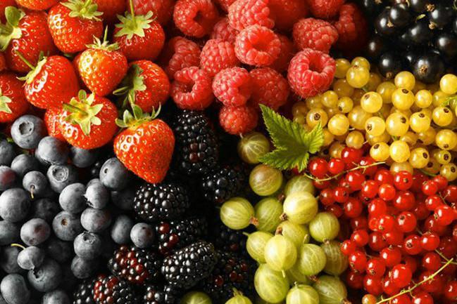 ТОП-6 країн імпортерів українських ягід та фруктів — рейтинг 