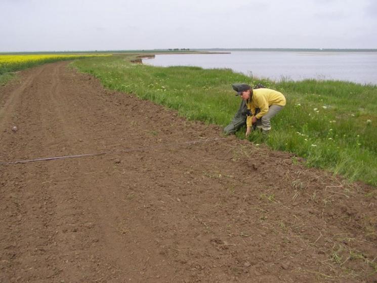 В Одеській області майже 24 тис. га землі сільськогосподарського призначення виставлять на аукціон