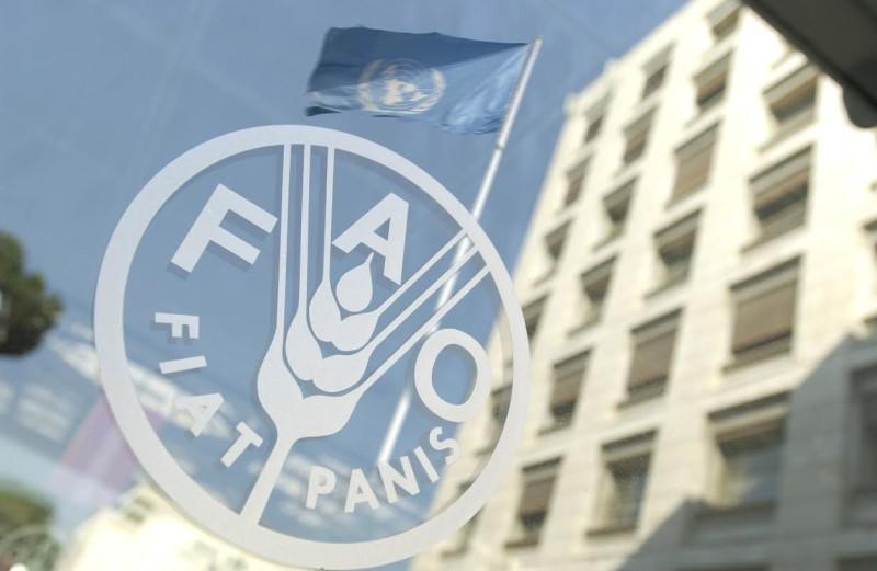 ФАО представляє результати соцопитування про державну підтримку малих сільгоспвиробників в Україні