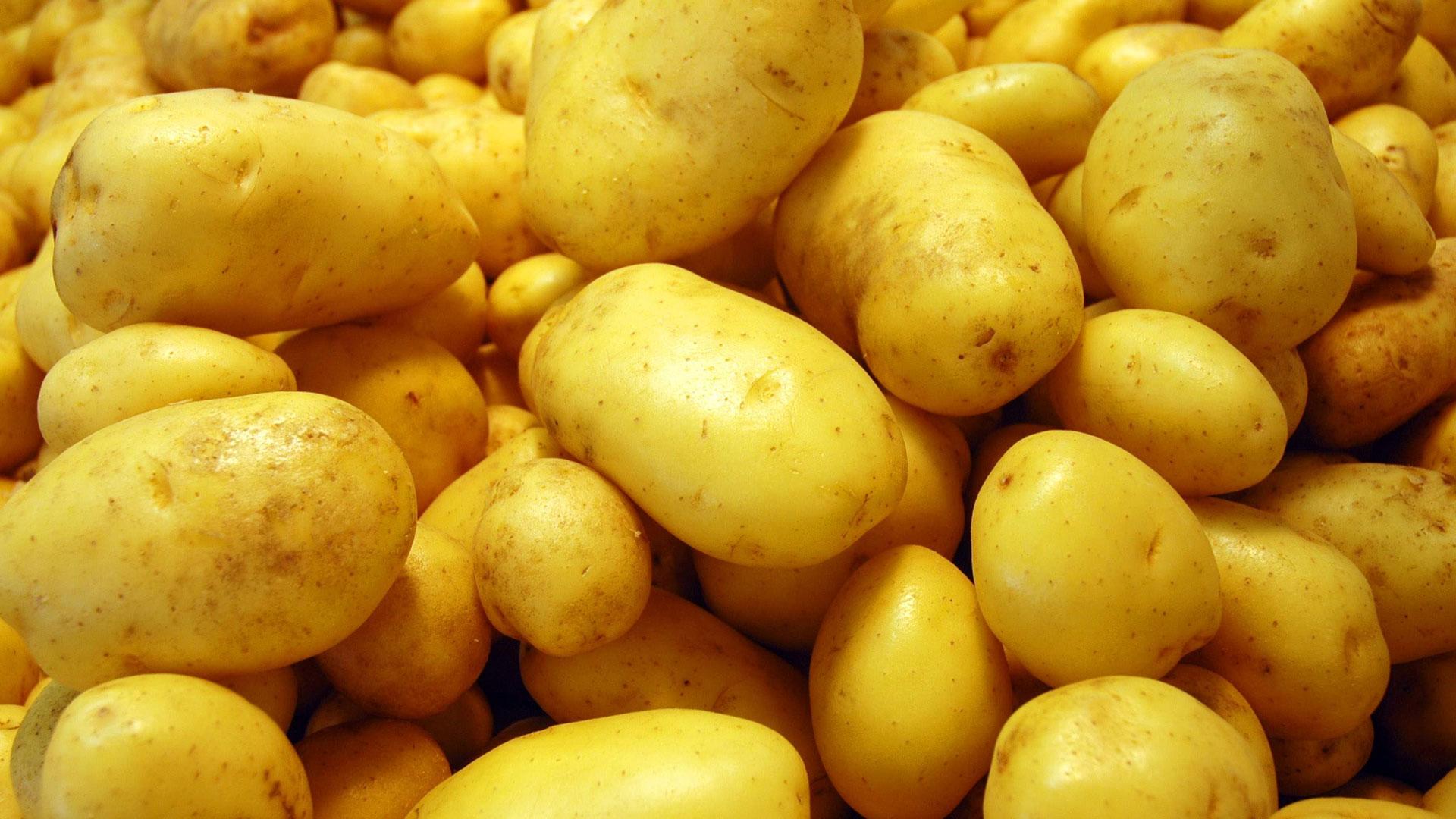 У 2017 році аграрії експортували 17,6 тисячі тонн картоплі