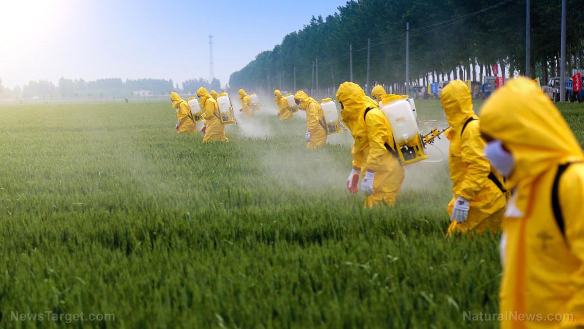 Екологи б'ють на сполох: на Одещині зберігаються близько 1000 тонн небезпечних пестицидів