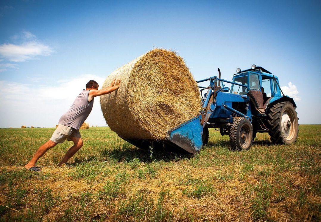 Нерівність умов між самостійними фермерами та господарствами повинна виправити влада — заява