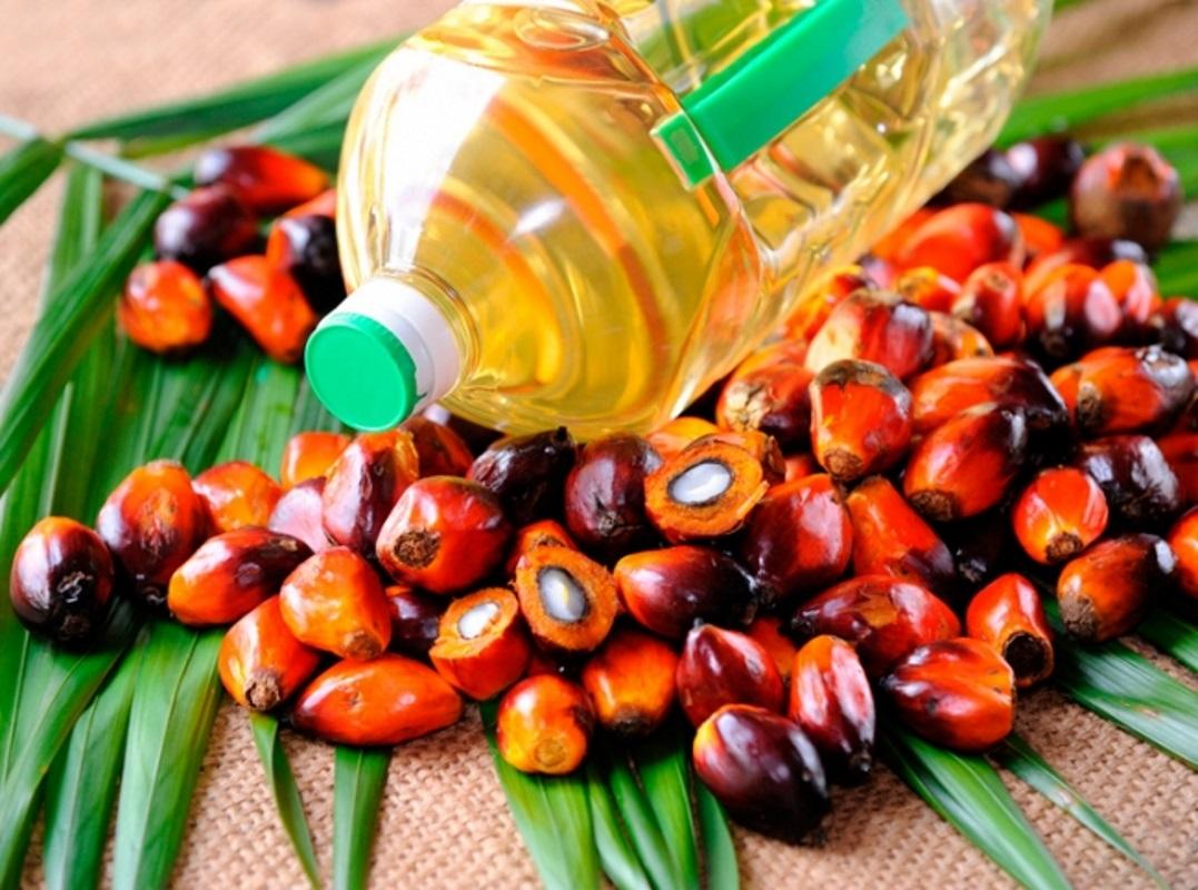 Раді запропонували заборонити використання пальмової олії у продуктах