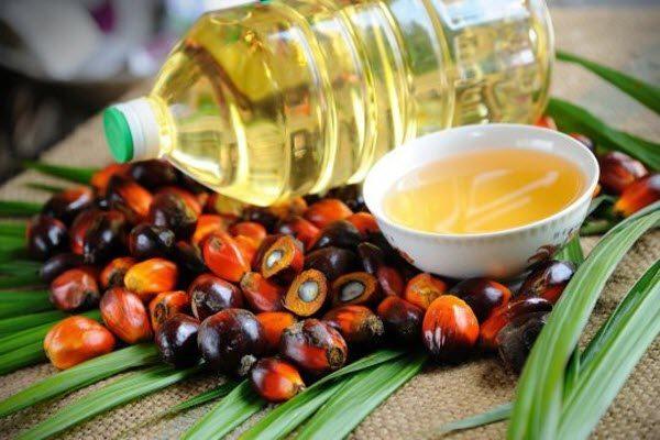 За використання пальмової олії в продуктах пропонують встановити штраф у розмірі 200 неоподаткованих мінімумів — законопроект