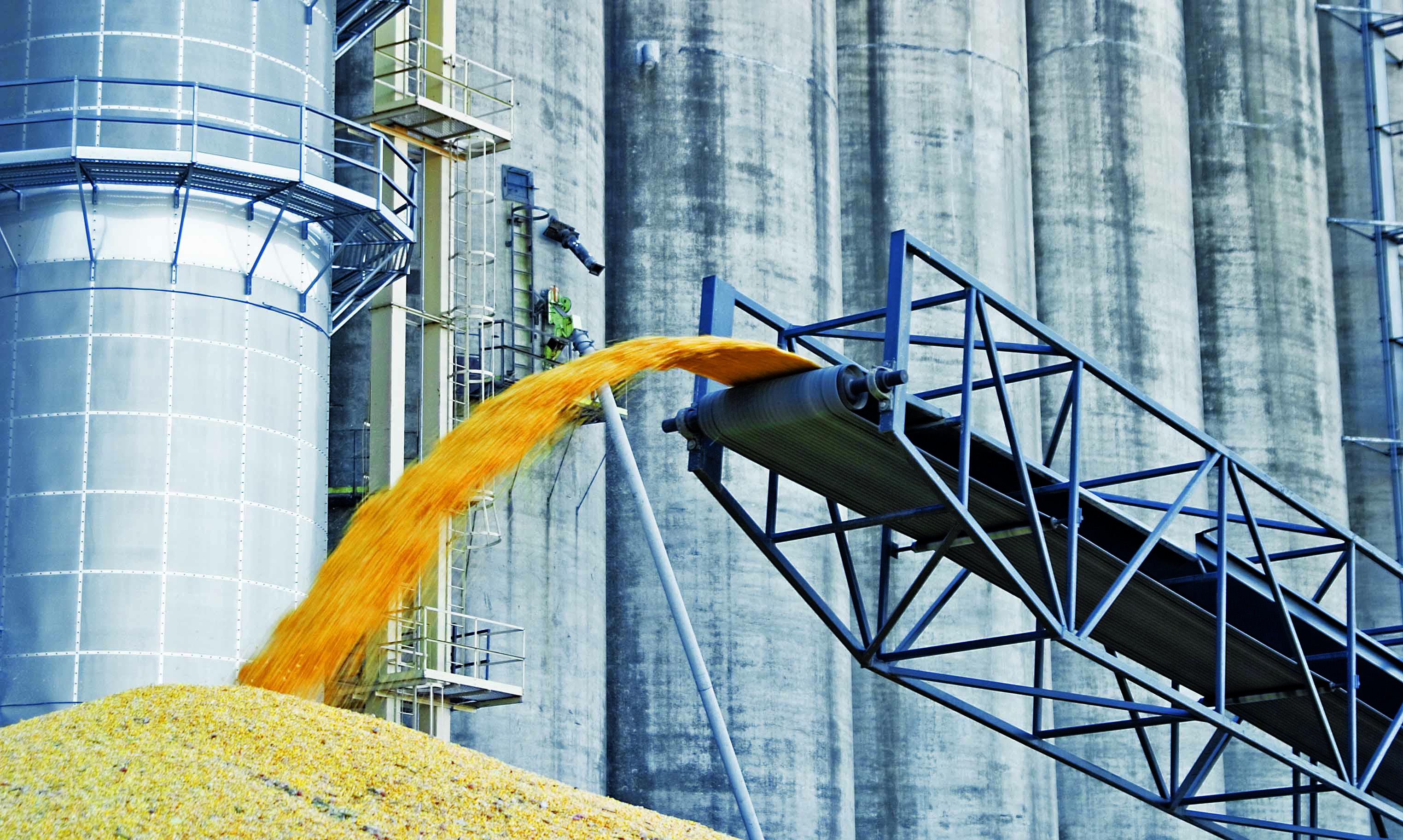 Grain Alliance пропонує свої елеватори всім агрокомпаніям