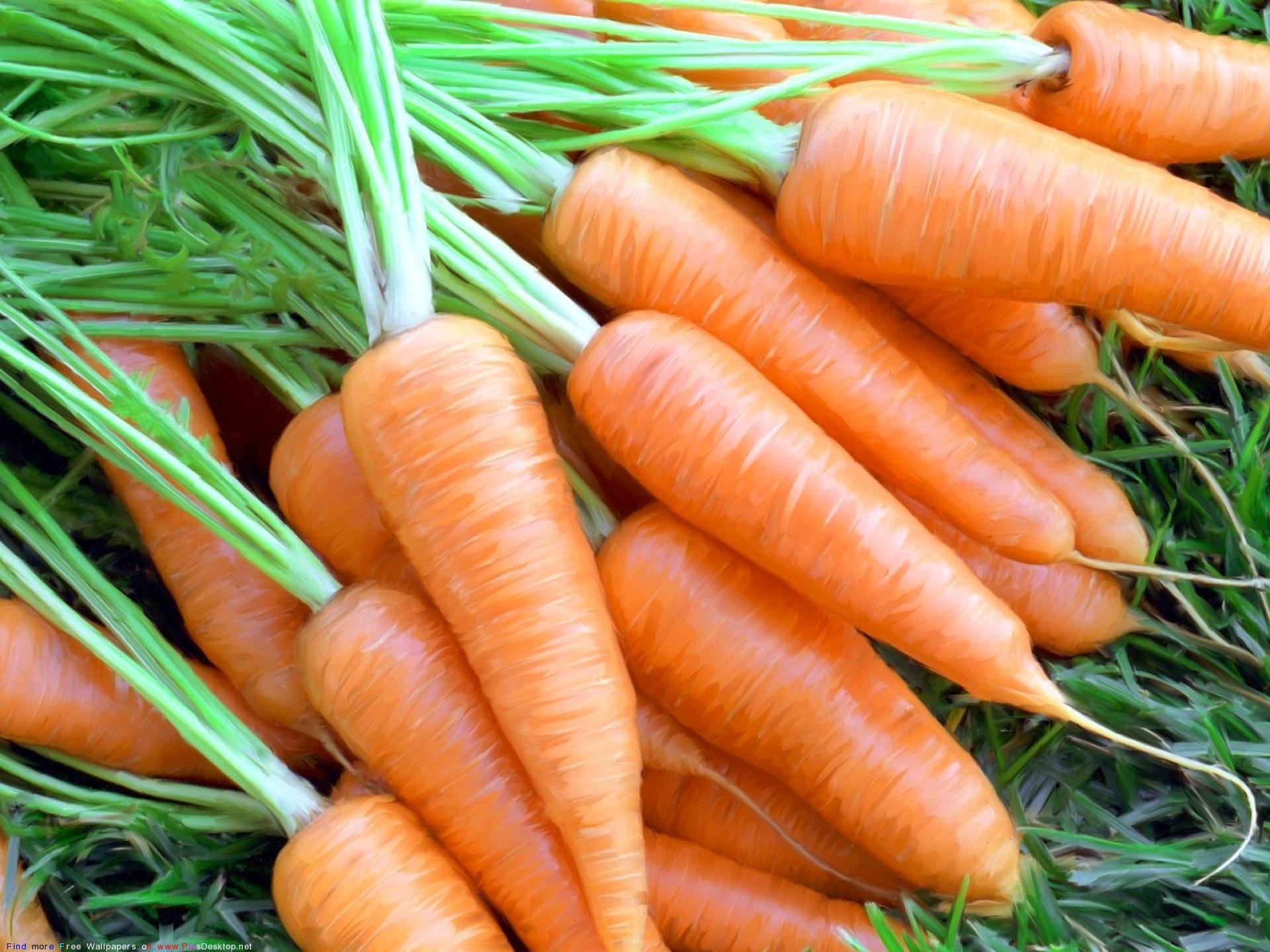 Виробники суттєво підвищили ціни на моркву