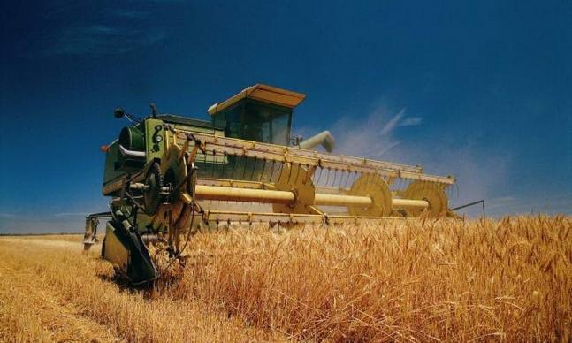 У червні в Україні набудуть чинності нові правила звітності ПДВ для сільгоспвиробників 