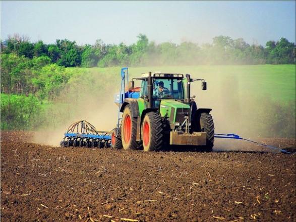 В Україні ярими зерновими засіяли 7,06 млн га площ