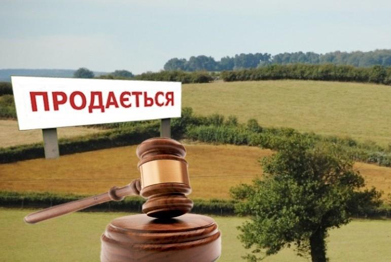 Після відкриття в Україні ринку землі ціна на неї сягне $5–10 тис. за 1 га 