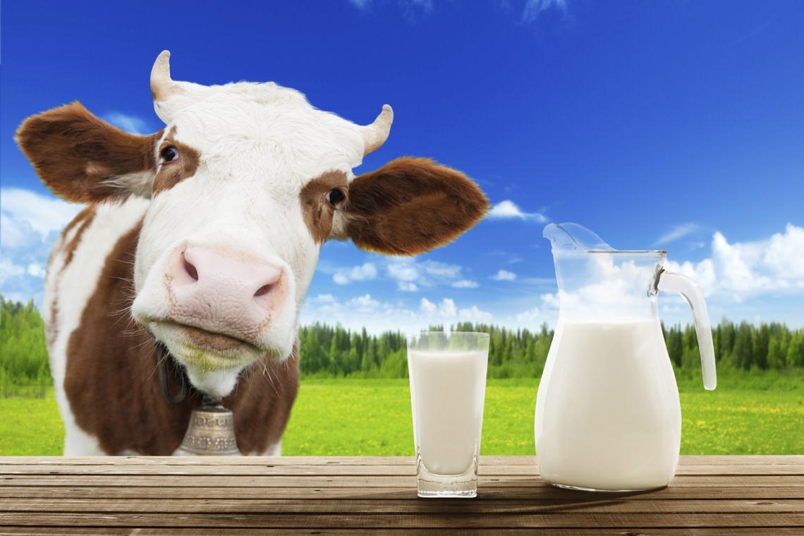Радіоактивність молока в деяких регіонах України перевищує норму в 5 разів